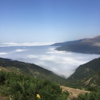 تور عکاسی فیلبند