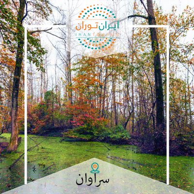 تور آموزش عکاسی مرداب سراوان