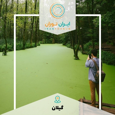 تور عکاسی مرداب سراوان